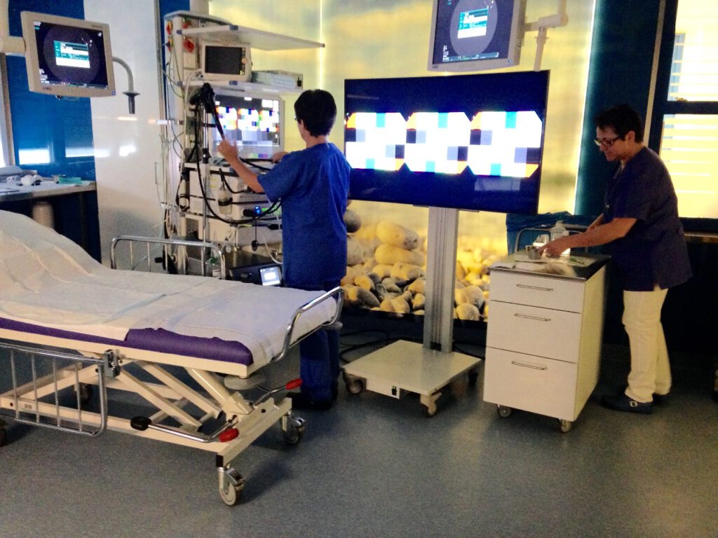 Ein erfahrener Arzt führt eine Sonographieuntersuchung in Schwalmstadt durch.